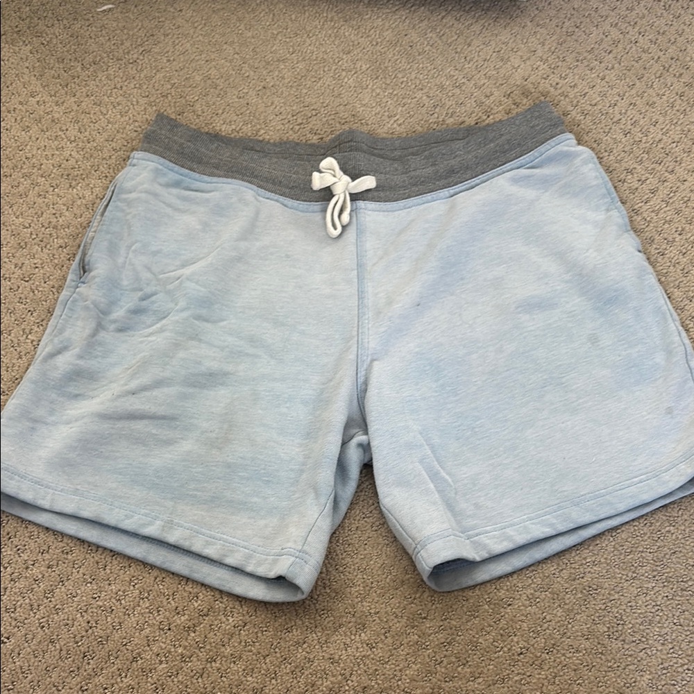 Chubbies 7 Inch Men's Light Blue and Gray Shorts